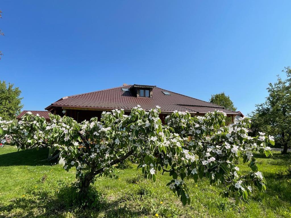 Hotel Agapia Agapescu Exteriér fotografie